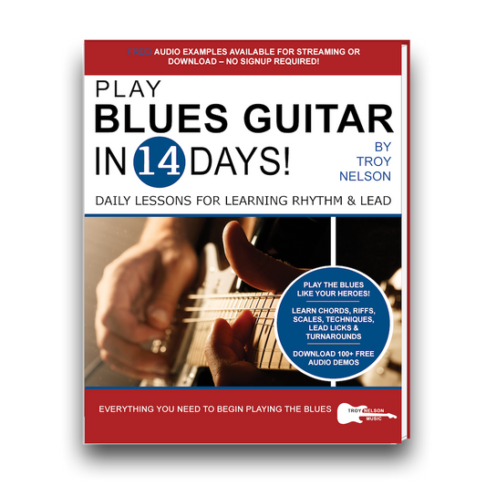image of a blues guitar on a book cover