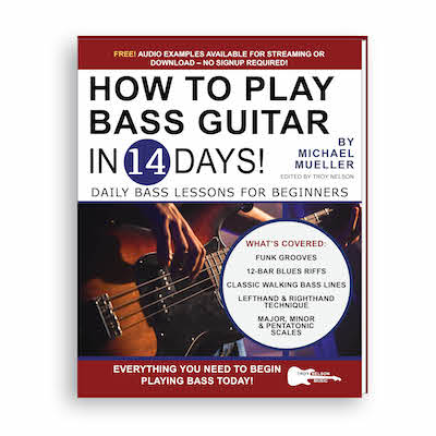 Image of a Bass Guitar on a Book Cover